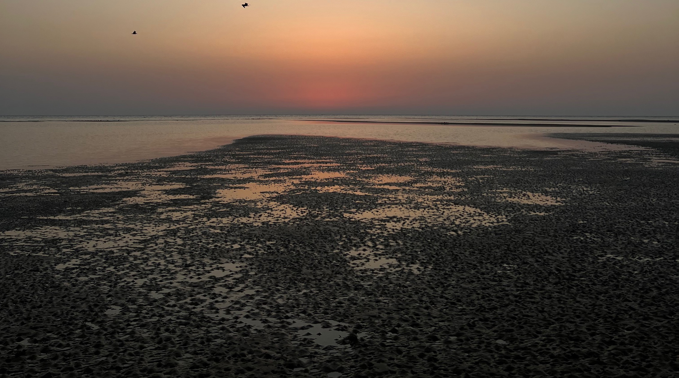 Saudi Arabia’s Treasured Mudflats