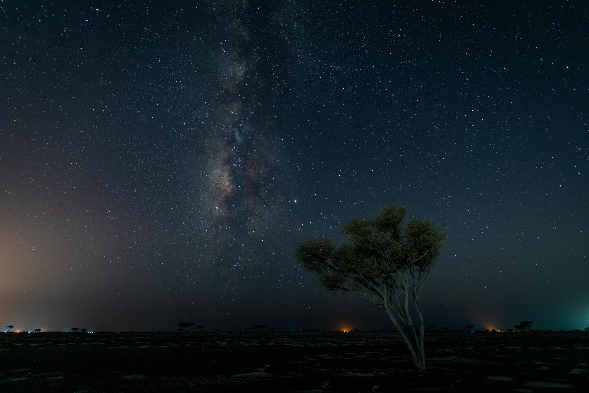 Preserving the Nocturnal Environment at The Red Sea