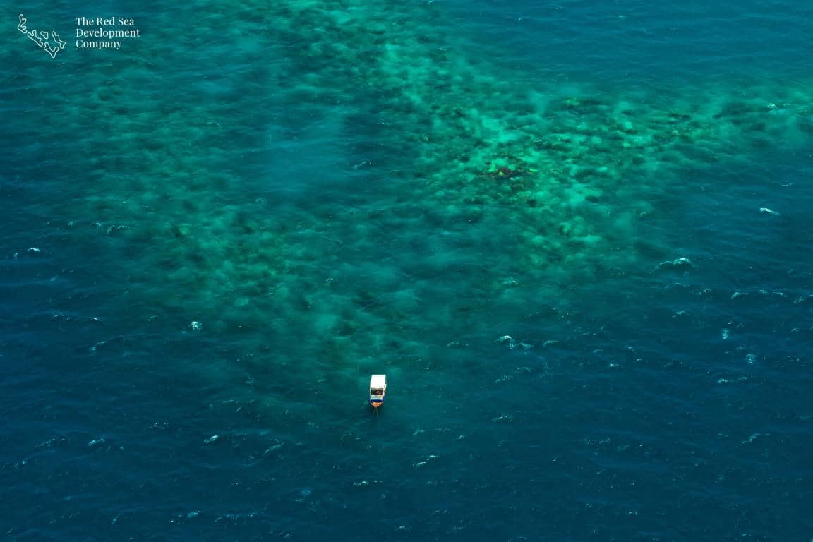 Red Sea Global Announces Global Advisory Board