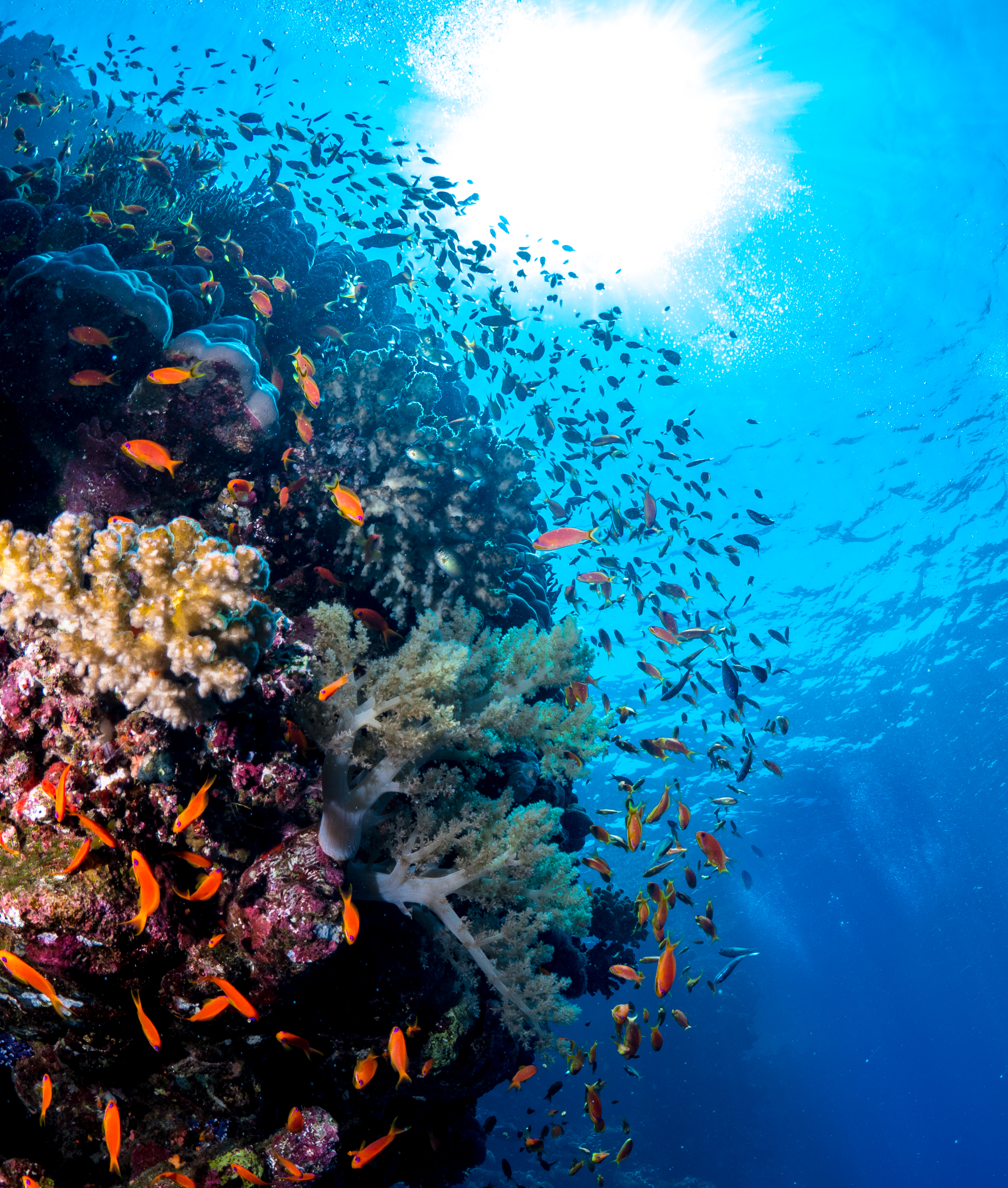 Global Report Urges Investment in Regenerative Tourism Innovation to Meet Surging Public Demand