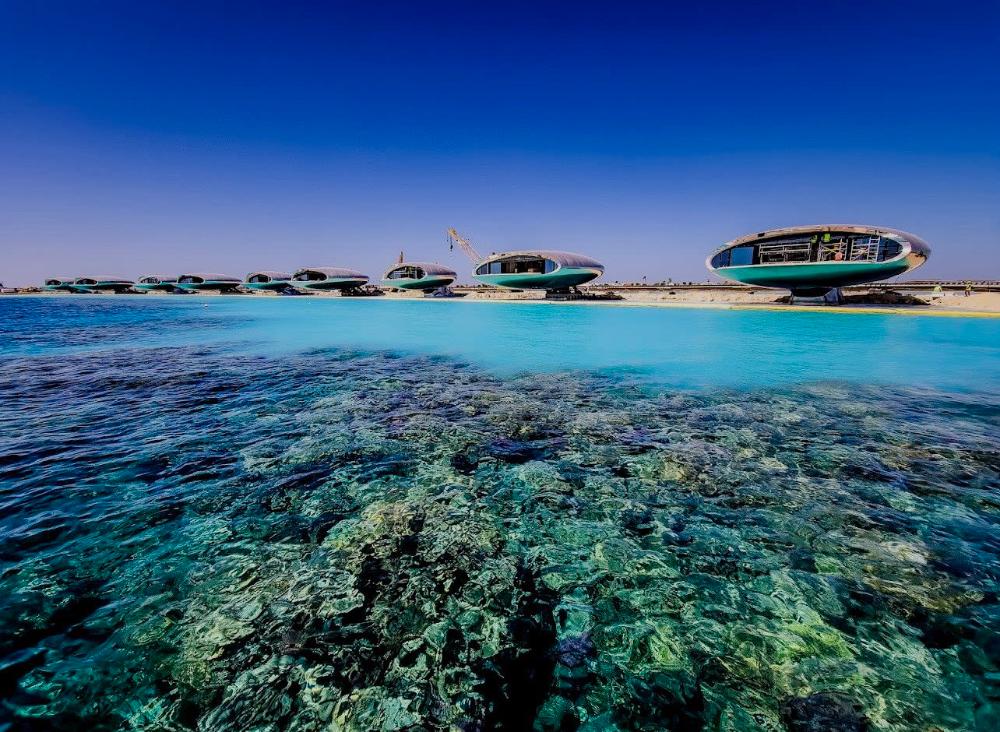 Red Sea Discovery image