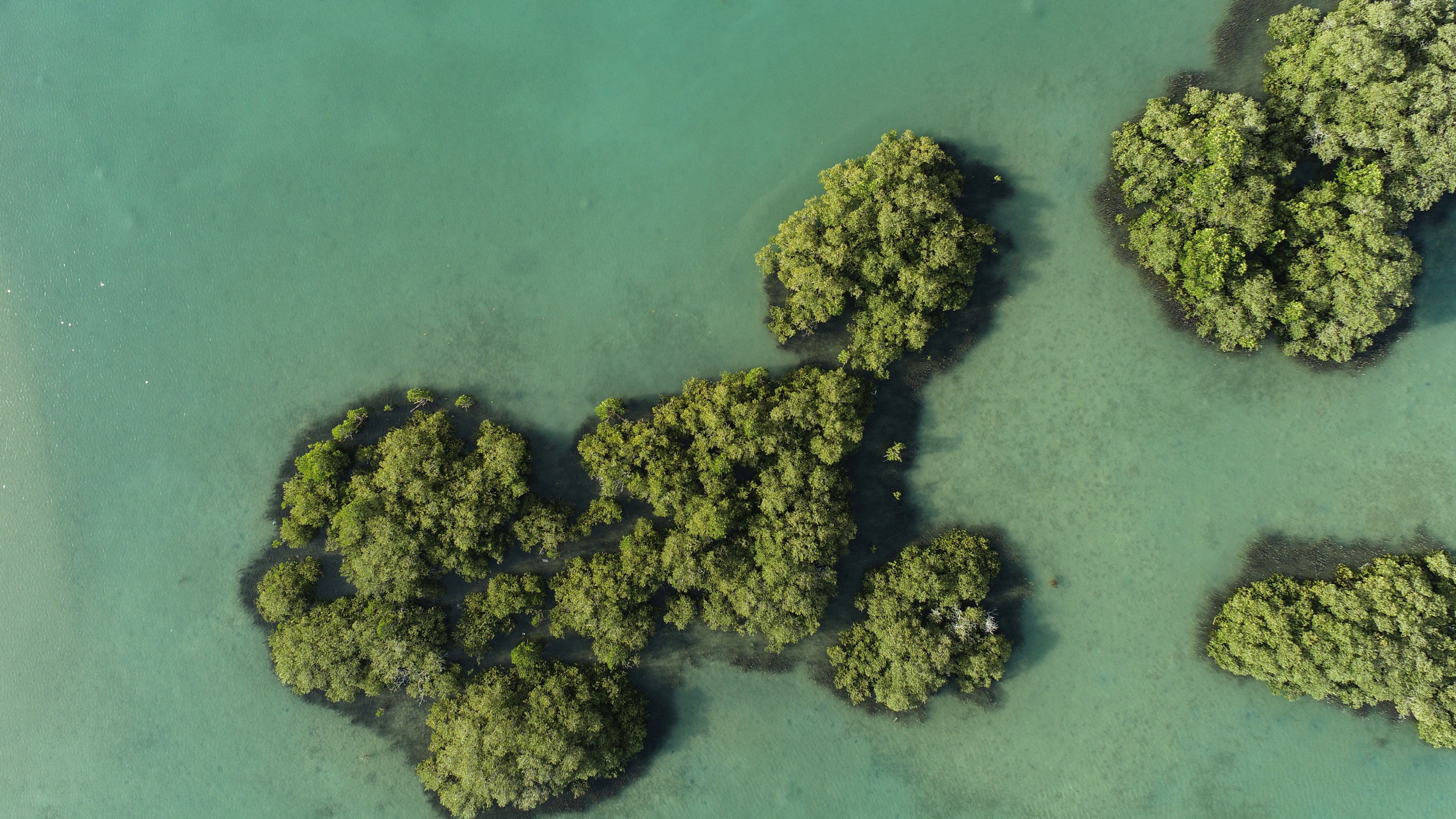 The SIIG Model is a replicable approach for others to achieve regenerative tourism