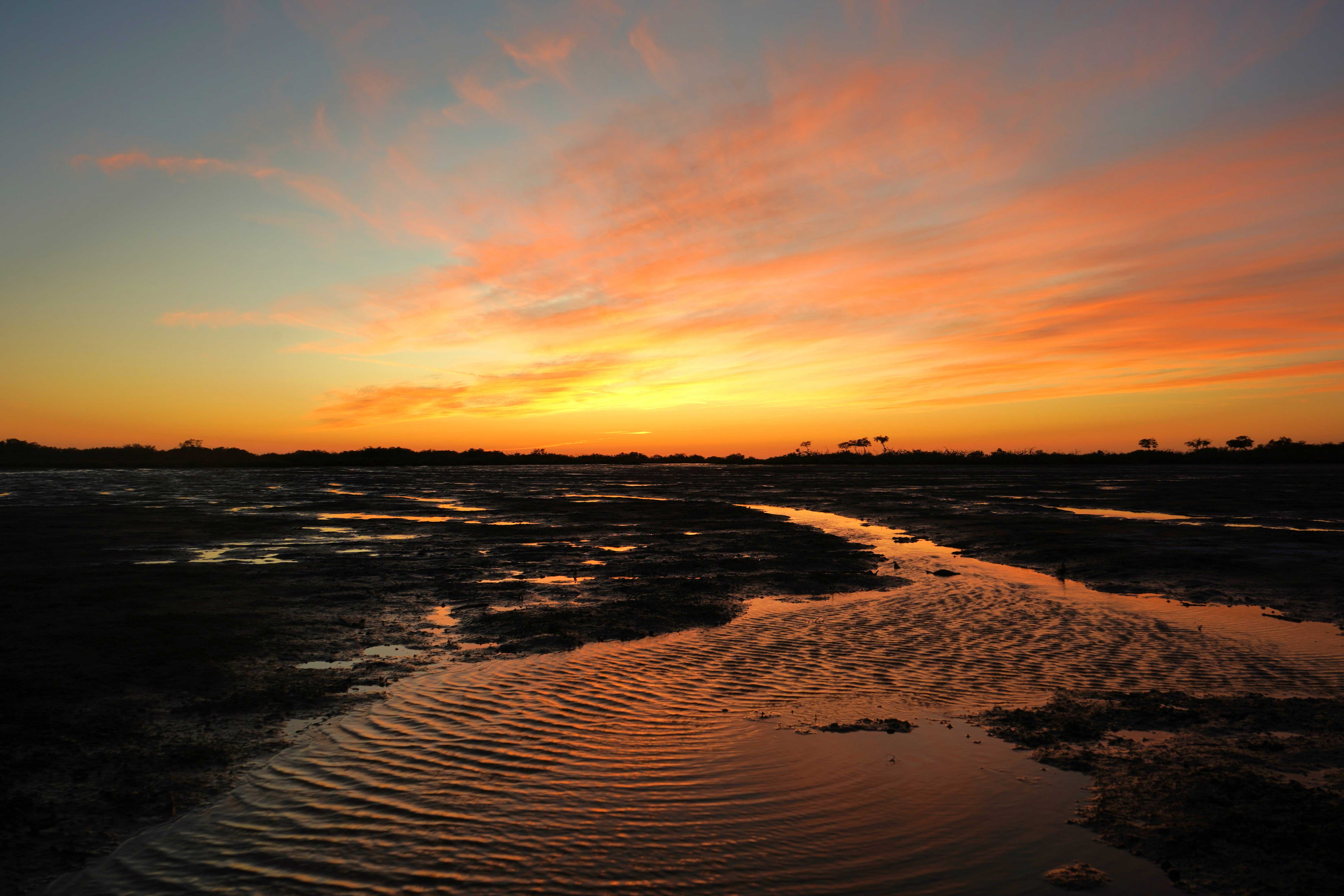 Red Sea Global makes strides to protect Saudi Arabia’s ecosystem with largest ever biodiversity study